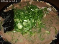 「とんこつラーメン」@無鉄砲 大阪店の写真