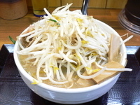 「味噌ラーメン大盛り+野菜大盛り」@味噌麺処 花道庵の写真