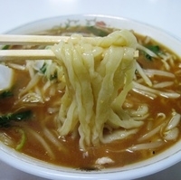 「みそラーメン」@手打ちらーめん 宝亭の写真