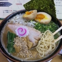 「トンコツラーメン（麺カタメ）+大盛（210g）+味玉（明日定休日」@MENYA 食い味の道有楽の写真