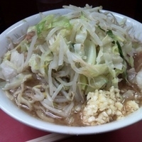「小ラーメン+ヤサイニンニク」@ラーメン二郎 環七一之江店の写真