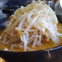 「もやしラーメン（￥800）」@ラーメン 道楽 洗足池店の写真