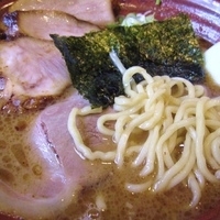 「とんこつお魚風味+半トロ肉 900円」@らぁめん さなだ 市原店の写真