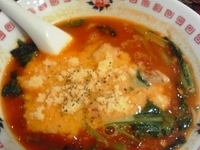 「太陽のチーズラーメン」@太陽のトマト麺 Next 新宿ミロードの写真