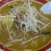 「味噌ラーメン750円」@佐野手打ちラーメン とも屋の写真