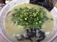 「博多ラーメン」@らーめん家 一歩の写真