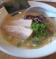 「博多ラーメン（かため）630円」@豚真拉麺 一休 東店の写真
