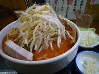 「辛味噌ラーメン750円 ネギ60円 野菜大盛・ニンニク無料」@味噌麺処 花道庵の写真