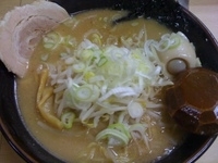 「マイルドラーメン」@小岩家らーめんの写真