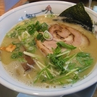 「鶏塩700円+Cセット（餃子3個+半ライス）300円」@中華そば 一楽の写真