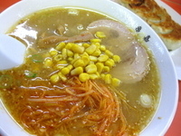 「ネギ味噌ラーメン￥890 & 餃子（5ヶ）￥400」@佐野ラーメン 亀嘉の写真