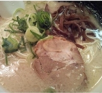 「とんこつらーめん（500円）」@博多風龍 高田馬場店の写真