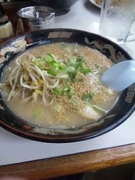 「もやしラーメン」@クーニャン ラーメン 赤のれんの写真