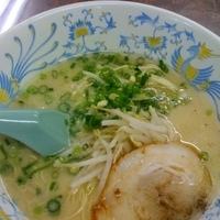 「博多とんこつラーメン（￥500）」@博多 龍龍軒 お茶の水駅前店の写真