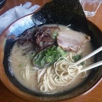 「博多らーめん（バリ）+替玉×2（はがね） 630円+120円+1」@博多拉麺 一休 本店の写真