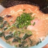 「家系しょうゆラーメン + ほうれんそう ￥700」@横浜ラーメン 春木家の写真