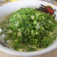 「素ッピン博多（麺かた）450円+青ネギダブル（180円×2）+半」@風林火山の写真