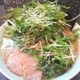 らーめん（麺固め・味濃い目・脂多目） + ハリハリ ￥780