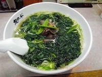 「青菜麺+餃子」@麺ロード 桜木町店の写真