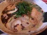 「味玉とんこつ醤油らーめん（850円）」@がちんこらーめん道 柊 貝塚本店の写真