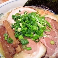 「鶏塩一楽」@中華そば 一楽の写真