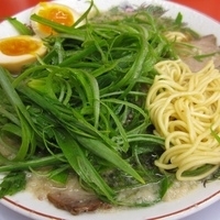 「特製醤油九条ネギ味玉ラーメン・大盛り 麺固め・背脂多め 1000」@ラーメン魁力屋 武蔵村山店の写真