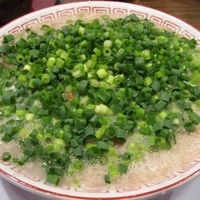 「博多ラーメン（バリカタ、こってり）650円+ネギダブル100円×」@博多屋台の写真