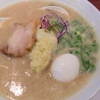 「味噌白丸 玉子入り」@博多一風堂 COLLECTION.MISO 代々木店の写真