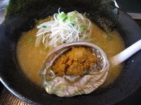 「網地島雲丹みそらーめん（味噌）」@らーめん工房 網地島屋 富谷本店の写真