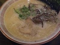 「ラーメン（600円）」@博多ラーメン かつ屋の写真