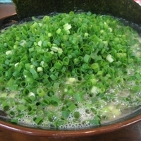 「ねぎばっか まる880円」@博多ラーメン とんこつ家の写真