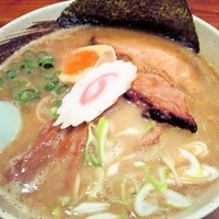 「鍋底和ってり高濃度和出汁鶏白湯 version（当日限定）」@柳麺まる重の写真