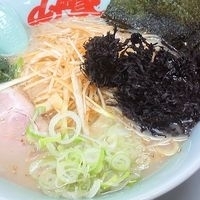「塩ラーメン（麺固め） + 岩海苔 + 味付ネギ（無料クーポン） 」@山岡家 日立滑川店の写真