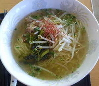 「鶏と水菜とモヤシ塩ラーメン（650円）」@レストランふじおやまの写真
