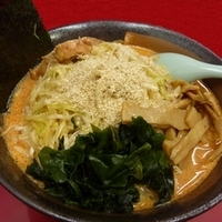 「「辛いラーメン 入門クラス」（豆乳スープ）+「ネギあえ」  （麺」@ラーメンショップ幸手 金田亭の写真