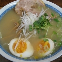 「軍鶏白湯800円（1日限定20杯）」@軍鶏ラーメン美幸の写真