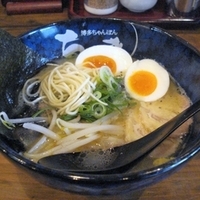 「煮玉子鶏塩ラーメン（こってり） 650円」@博多ちゃんぽん・つけ麺 ちょきの写真
