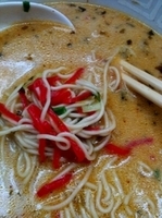 「ラーメン + 替え玉1 ￥600」@博多天神 渋谷南口店の写真