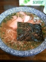 「はるゆたからーめん 塩」@森やの写真