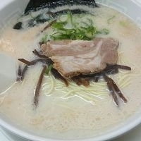 「ラーメン ￥500」@博多天神 新橋2号店の写真