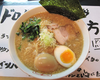「ラーメン（細麺）+大盛+味玉」@ドロップハンマーの写真