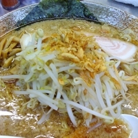 「背脂ラーメン 智（￥800）」@覆麺 智の写真