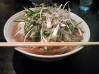 「チャッチャねぎラーメン大盛（860円+110円）」@らーめん初代 社 本店の写真