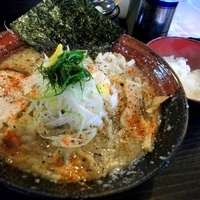 「超ガメラ大盛+半ライス」@らーめん 福たけ 桜木本店の写真