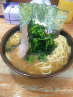 「ラーメンほうれん草増し 麺カタメ【830円】」@横浜家系豚骨醤油極太麺 侍 本店の写真
