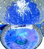 「つけめん（あごだし豚骨）」@つけそば 幸喜の写真