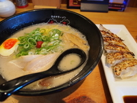 「塩とんこつラーメン+ギョーザ（6コ）」@春日井ラーメン 楽喜 本店の写真
