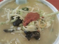 「味噌老麺（太麺、豆板醤）650円」@百花亭の写真