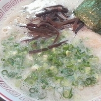 「ラーメン（ばりかた） + ねぎ ￥700」@博多ラーメン かつ屋の写真