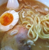 「とんこつ魚介ラーメン  600円」@麺屋 かめだの写真